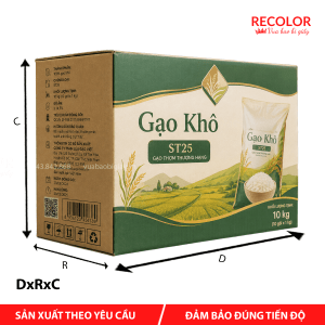 Thùng carton đựng gạo khô - TCP042