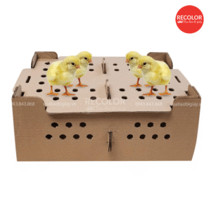 Màu sắc của thùng carton đựng gà