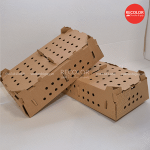 Chất liệu giấy carton được sử dụng