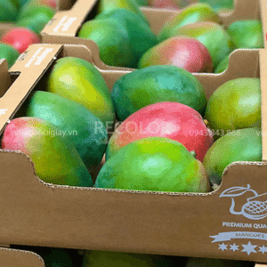 Thùng carton đựng trái cây chất lượng cao, sản xuất theo yêu cầu