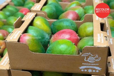Thùng carton đựng trái cây chất lượng cao, sản xuất theo yêu cầu