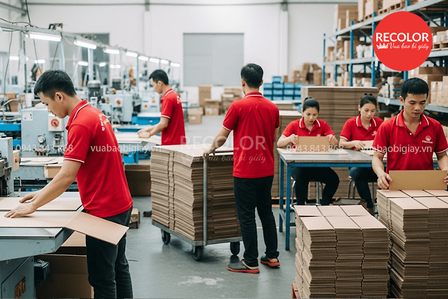 Xưởng Sản Xuất Thùng Carton Tại An Giang Chất Lượng Và Uy Tín Xưởng Sản Xuất Thùng Carton Tại An Giang Chất Lượng Và Uy Tín