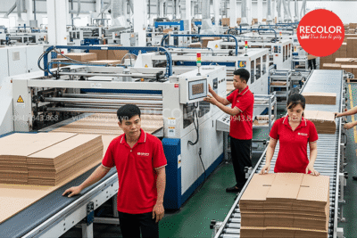 Xưởng Sản Xuất Thùng Carton Tại Tuyên Quang Chất Lượng và Uy Tín