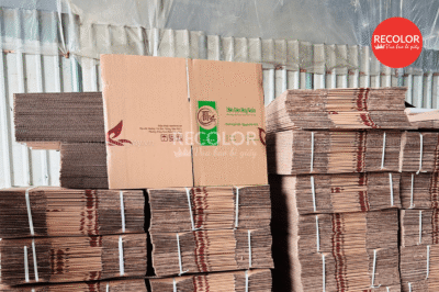 7 Bước Quy trình sản xuất thùng carton hiện đại, tối ưu tại RECOLOR