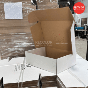 Thông tin sản phẩm hộp carton sóng nắp gài HCP063