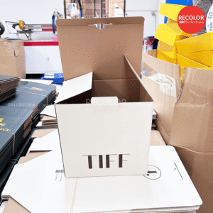 Địa chỉ mua sản phẩm hộp carton sóng nắp gài 25x25x17 HCP061