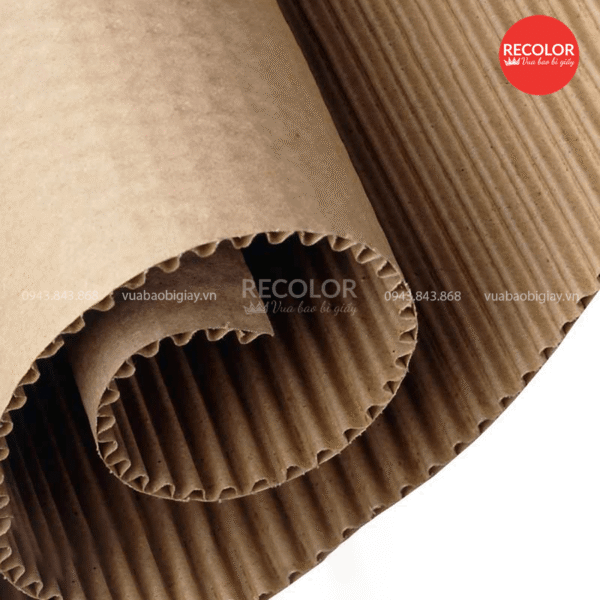Giấy carton 2 lớp là gì?