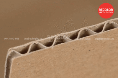 Giấy carton 3 lớp là gì? Cấu tạo và ứng dụng của giấy carton 3 lớp