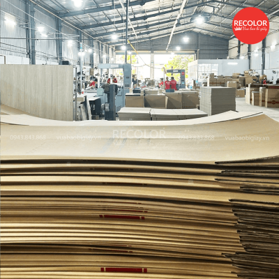 Về loại giấy carton được sử dụng