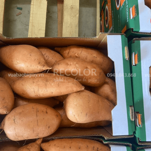 Thùng carton đựng khoai lang xuất khẩu - Sản xuất và in ấn theo yêu cầu