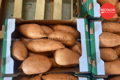 Thùng carton đựng khoai lang xuất khẩu - Sản xuất và in ấn theo yêu cầu