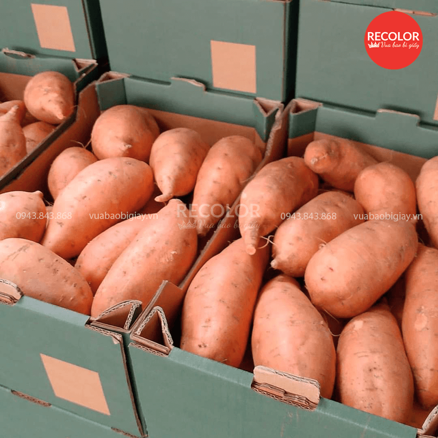 Thùng carton đựng khoai lang - TCP112 3 Tại sao lại sử dụng thùng carton đựng khoai lang xuất khẩu?