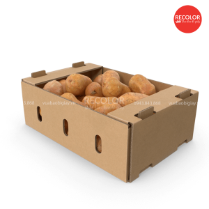 Quy cách sản xuất và in ấn thùng carton đựng khoai lang xuất khẩu
