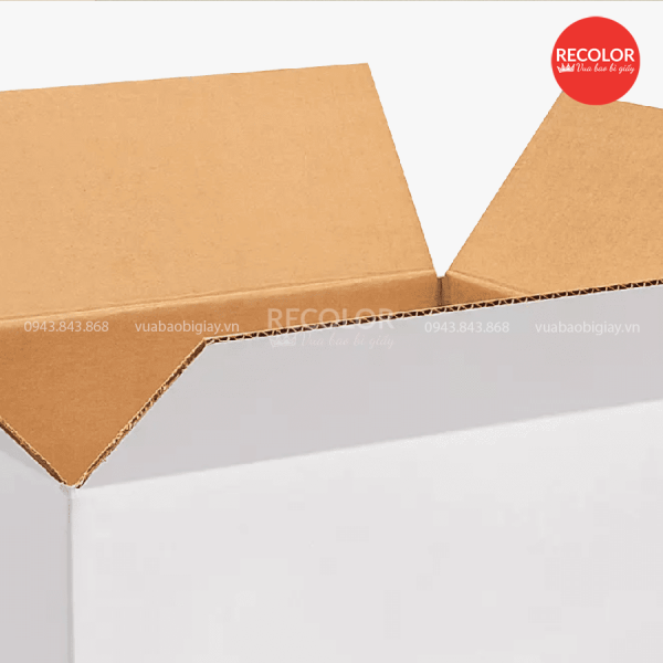 Giấy in offset là gì? Đặc điểm của giấy in offset