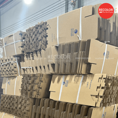 Kích thước và kiểu dáng hộp