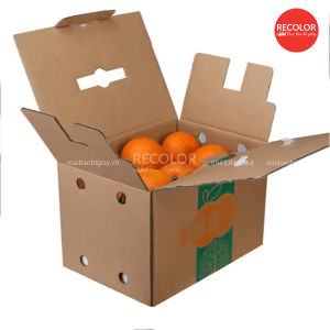 Thùng carton đựng cam - TCP110 10 Thùng carton dạng nắp có quai đựng cam