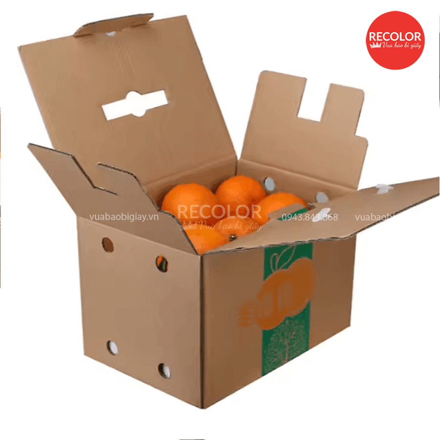 Thùng carton đựng cam - TCP110 5 Thùng carton dạng nắp có quai đựng cam