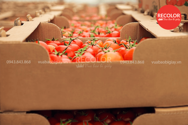 Thùng carton đựng nông sản in ấn và sản xuất theo yêu cầu giá xưởng