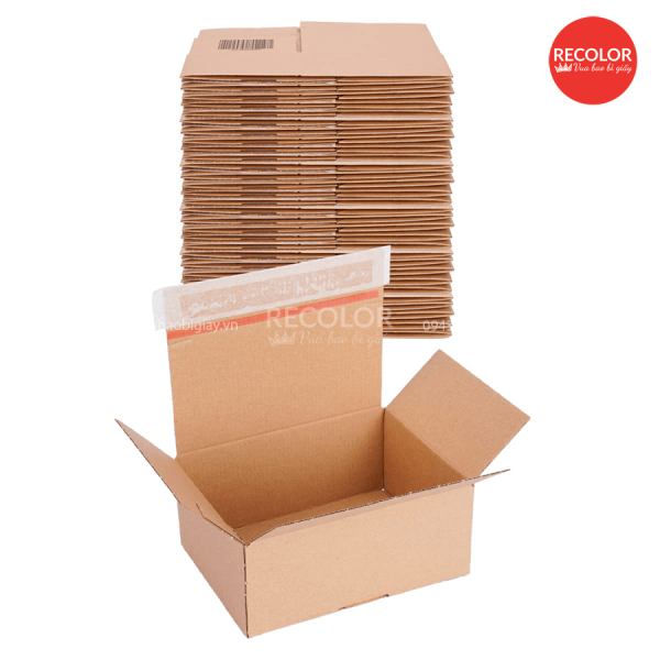 RECOLOR - Nhà máy sản xuất thùng carton nắp chồm uy tín