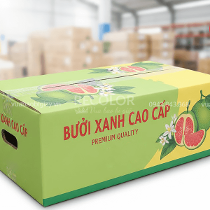 Thùng carton đựng bưởi sản xuất in ấn theo yêu cầu