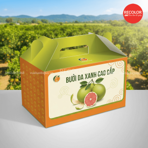Nhu cầu sử dụng thùng carton đựng bưởi hiện nay