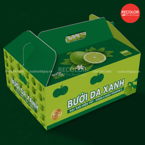 Thùng carton nắp dạng quai