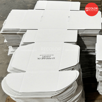 Thông tin sản phẩm hộp carton sóng nắp gài HCP070