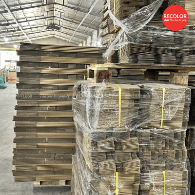 RECOLOR - Nhà máy sản xuất thùng carton uy tín, chất lượng