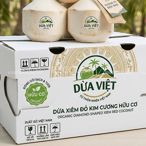 Công nghệ in ấn thùng carton đựng dừa chuyên nghiệp