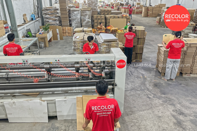 RECOLOR - Nhà máy sản xuất và in ấn thùng carton theo yêu cầu uy tín