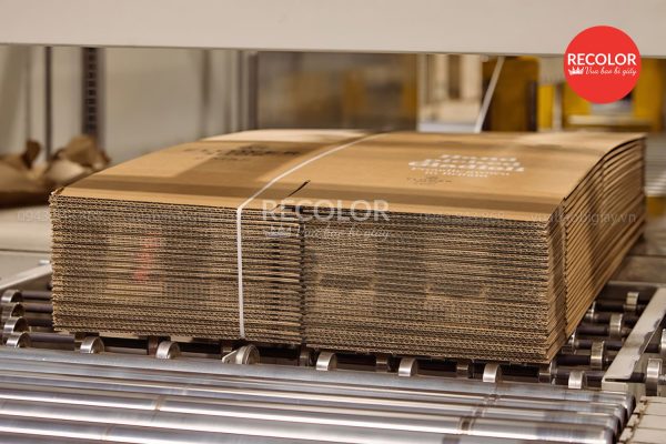 Tại sao lại đặt sản xuất thùng carton Nhà Bè tại RECOLOR?