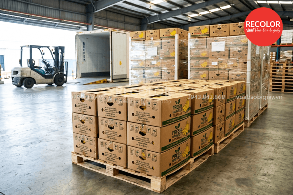 Thùng carton đựng chuối xuất khẩu chất lượng cao theo yêu cầu 3 Kích thước thùng carton đựng chuối xuất khẩu