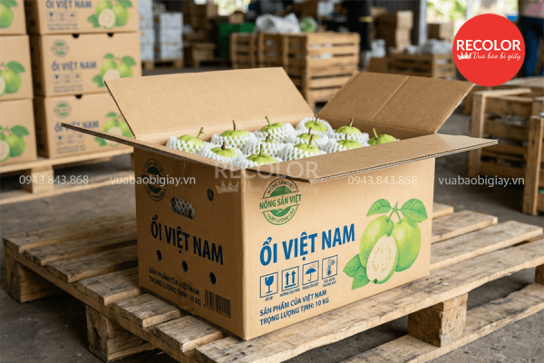 Tại sao lại sử dụng thùng carton đựng ổi xuất khẩu