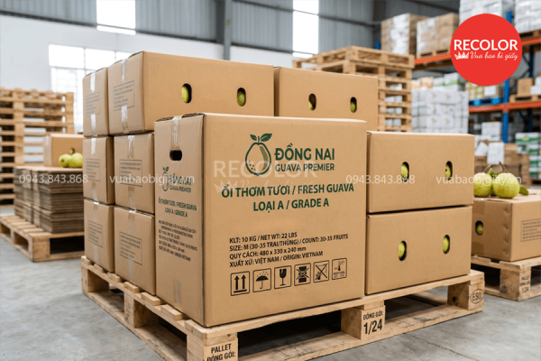 Những điều cần lưu ý khi mua thùng carton đựng ổi
