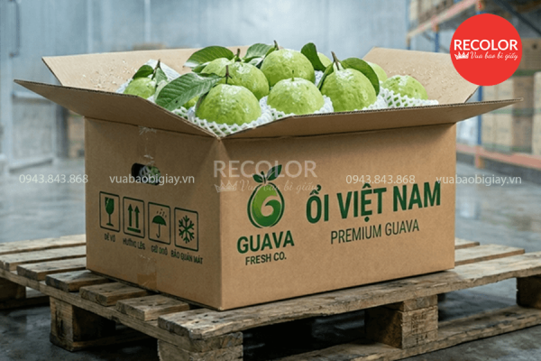 Những điều cần lưu ý khi mua thùng carton đựng ổi