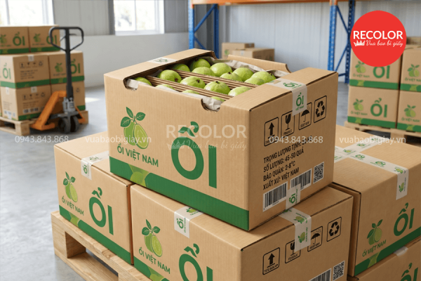 Đặc điểm của thùng carton đựng ổi xuất khẩu