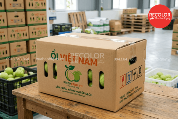 Đặc điểm của thùng carton đựng ổi xuất khẩu