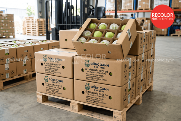Yếu tố quyết định đến giá của thùng carton đựng ổi