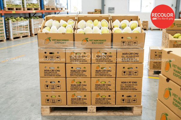 Lợi ích khi sử dụng thùng carton đựng xoài xuất khẩu