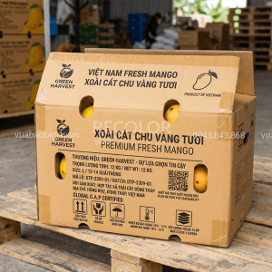 Cần lưu ý gì khi tìm mua thùng carton đựng xoài?