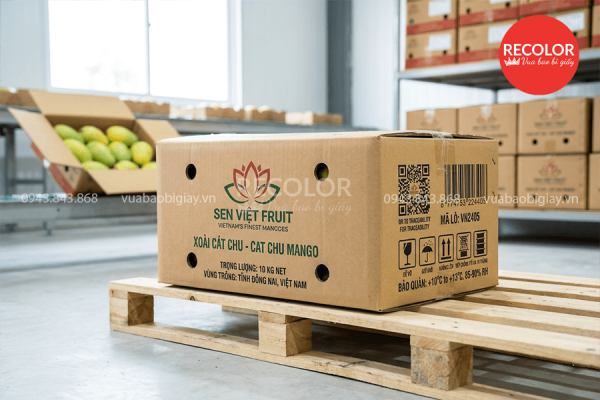 Lợi ích khi sử dụng thùng carton đựng xoài xuất khẩu