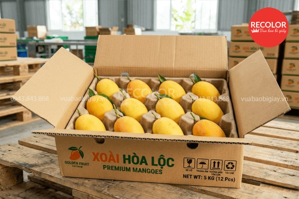 Thùng carton đựng xoài có khay