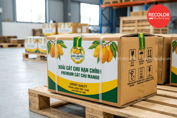 Những yếu tố ảnh hưởng tới giá thùng carton đựng xoài xuất khẩu