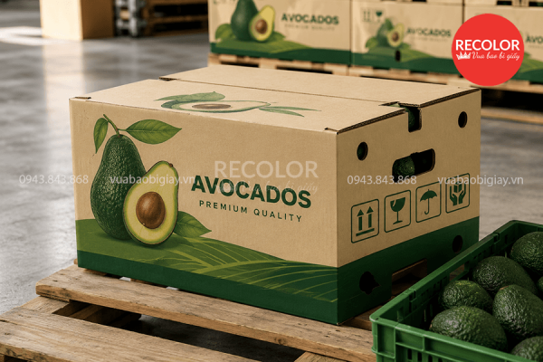 Thùng carton đựng bơ in ấn và sản xuất theo yêu cầu 11 Kích thước thùng carton đựng bơ