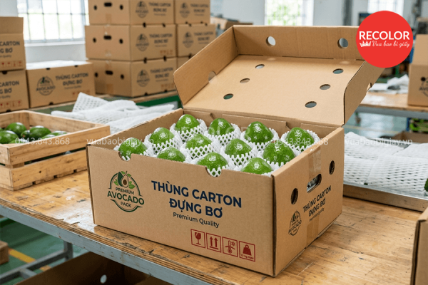 Thùng carton đựng bơ in ấn và sản xuất theo yêu cầu 4 Quy cách sản xuất thùng carton đựng bơ chất lượng cao