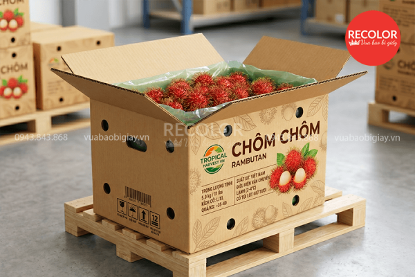 RECOLOR - Nhà máy sản xuất và in thùng carton đựng chôm chôm uy tín