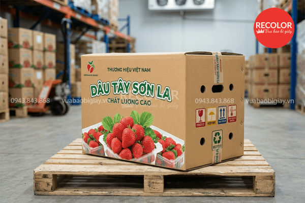 Thùng carton đựng dâu tây sản xuất theo yêu cầu 2 Tại sao lại sử dụng thùng carton đựng dâu tây?