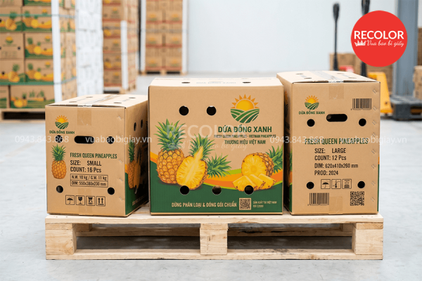 Quy trình sản xuất thùng carton đựng dứa (thơm) xuất khẩu