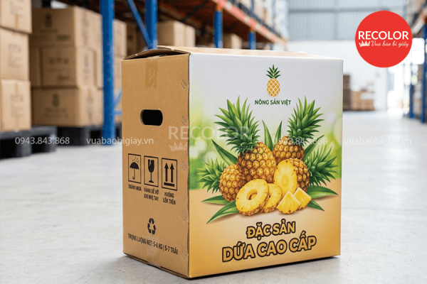 Kiểu dáng và kích thước thùng carton đựng dứa xuất khẩu
