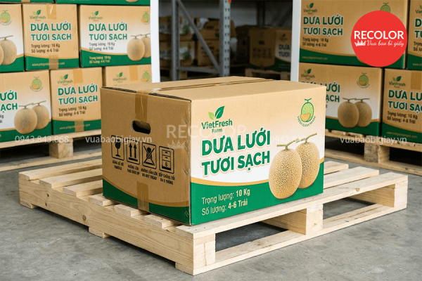 Thùng carton đựng dưa lưới sản xuất và in ấn theo yêu cầu 2 Đặc điểm của thùng carton đựng dưa lưới